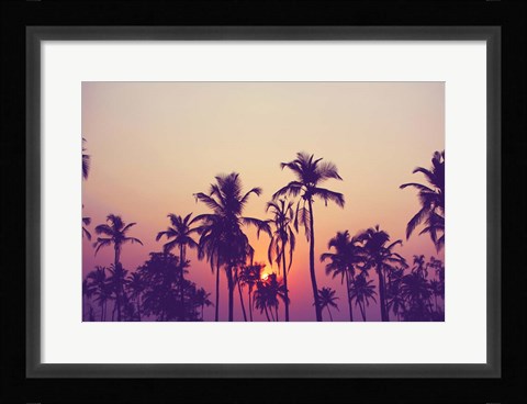 Framed Palm Sky 1 Print