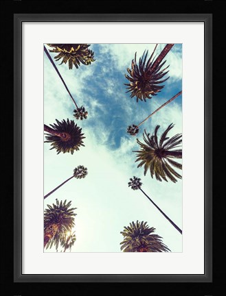 Framed Palm Sky 2 Print