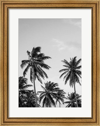 Framed Palms in Grey Print