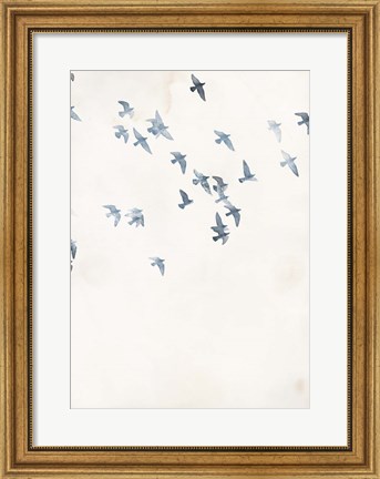 Framed Pigeons Sky Print