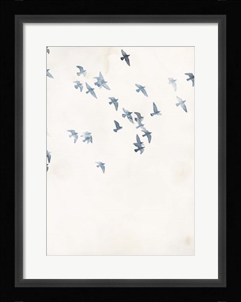 Framed Pigeons Sky Print