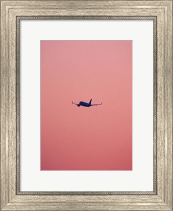Framed Pink Flight Print