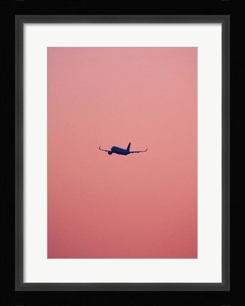 Framed Pink Flight Print