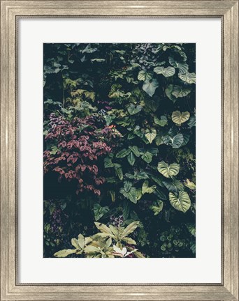 Framed Plant Wall Print