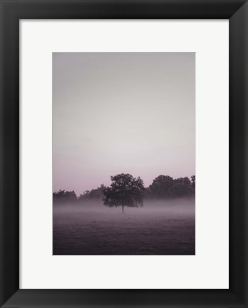 Framed Purple Light 2 Print