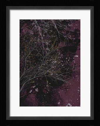 Framed River of Wine Print