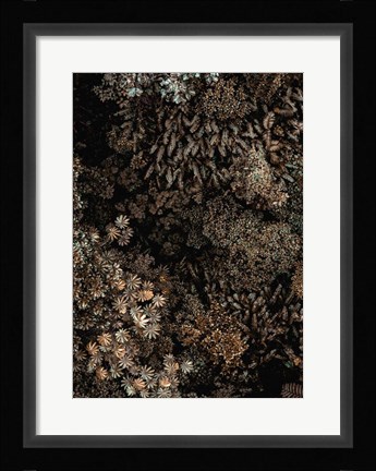 Framed Secret 11 Print