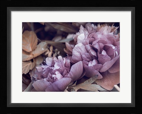 Framed Secret 14 Print