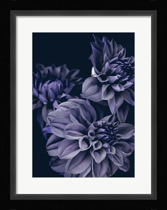 Framed Secret 15 Print