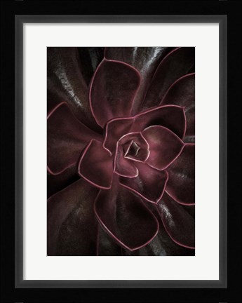 Framed Secret 16 Print