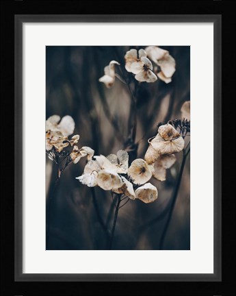 Framed Secret 4 Print