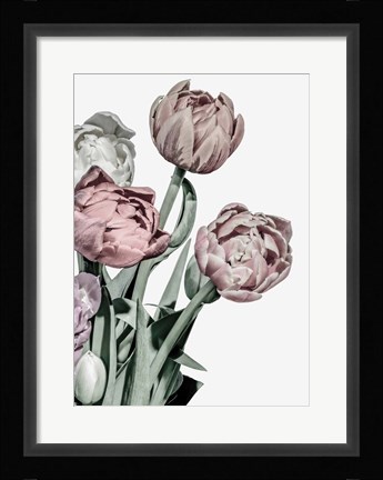 Framed Tulips Bright Print