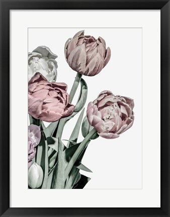 Framed Tulips Bright Print