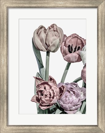 Framed Tulips Bright 2 Print