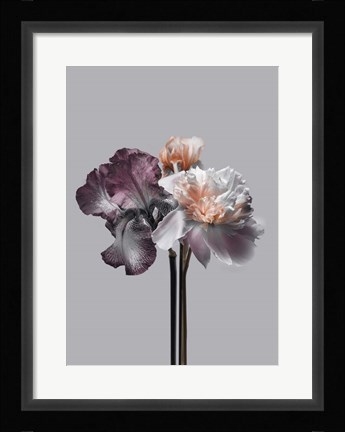 Framed Virtue 1 Print