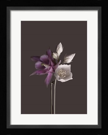 Framed Virtue 2 Print