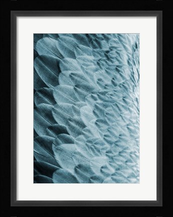 Framed Volture I Print