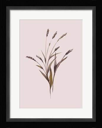 Framed Wheat Print