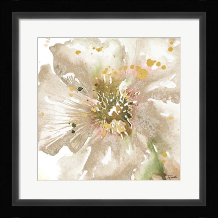 Framed Neutral Watercolor Poppy Close Up II Print