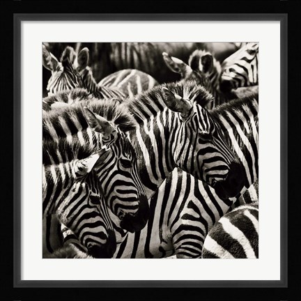 Framed Camouflage II Print