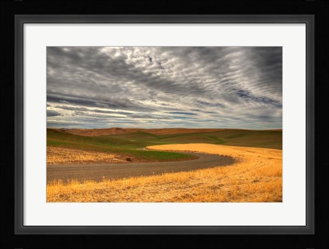 Framed Yin Yang Print