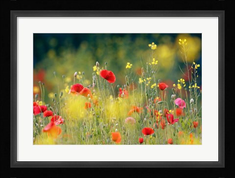 Framed Just a Perfect Day Print