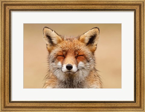 Framed Zen Fox Red Portrait Print