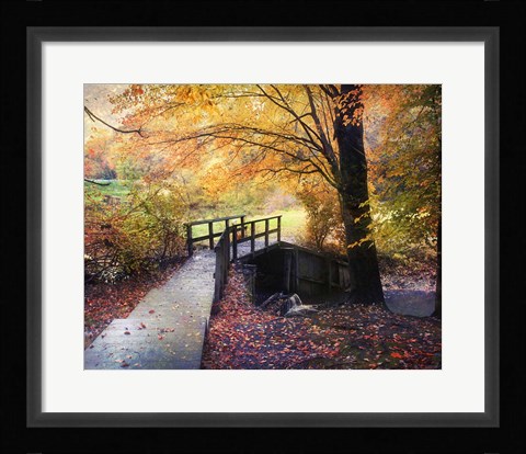 Framed Foot Bridge Print