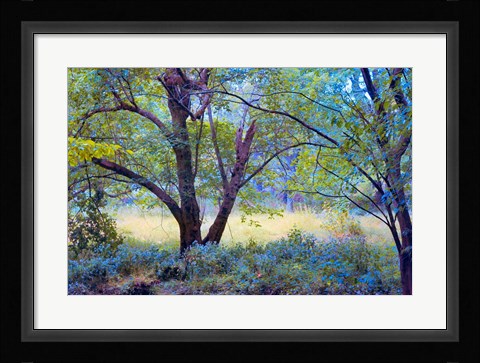 Framed Forgotten Day Dreams Print