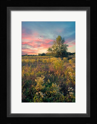Framed Grateful for the Day Print