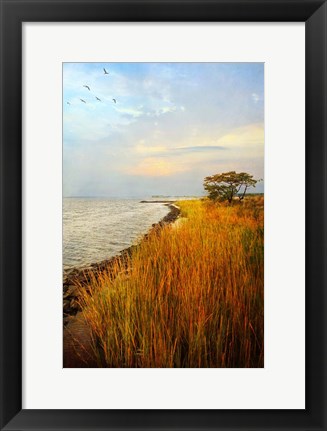 Framed Morning Has Broken Print