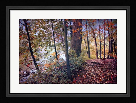 Framed Season of Colors Print