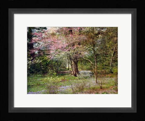 Framed Spring Print