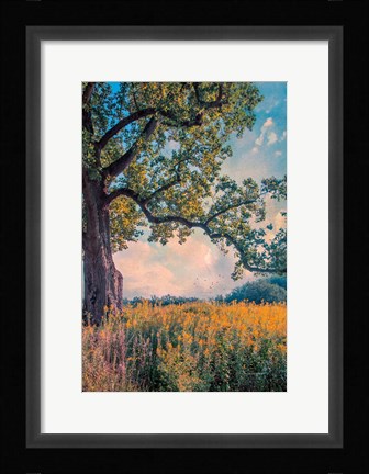 Framed Where I Daydream Print