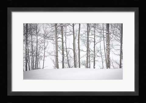 Framed Behind Cloister Doors Print