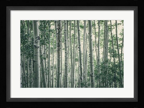 Framed Obscured by Alders Print
