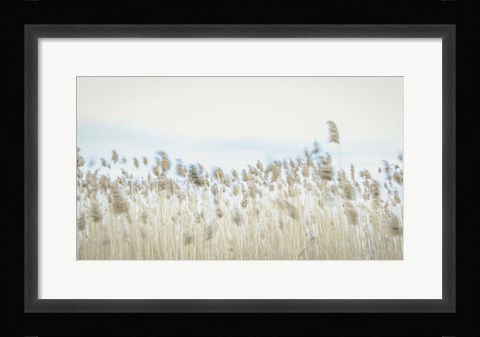 Framed Weaving Through Earth and Sky Print