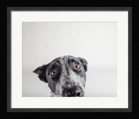 Framed Blue Zuck Print