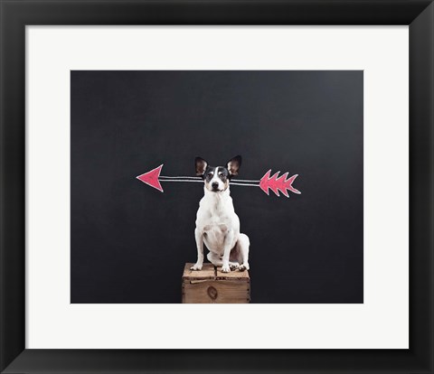 Framed Prankster Print