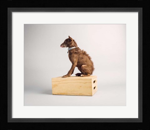 Framed Side Eye Print