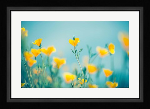 Framed California Dream Print