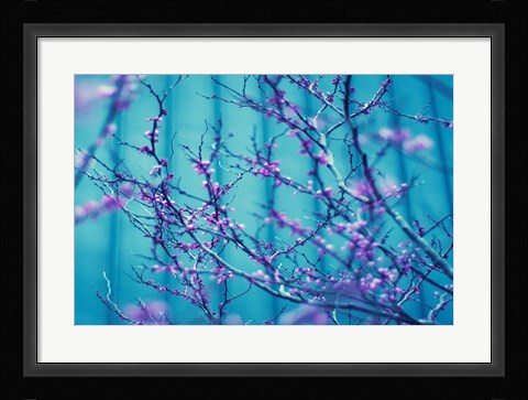 Framed Sacre Bleu Print