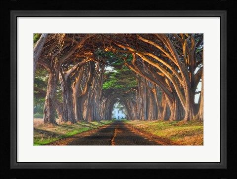 Framed Tunnel of Light Print