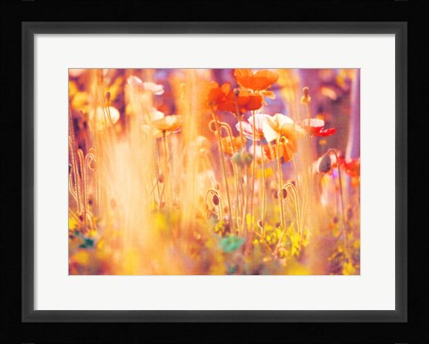 Framed I Am Alice Print