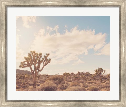 Framed Sunshine &amp; Joshua Trees Print