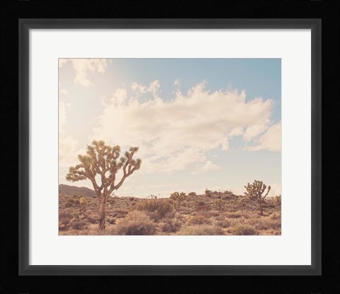 Framed Sunshine &amp; Joshua Trees Print