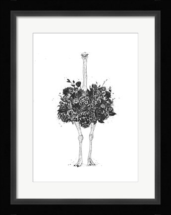 Framed Floral Ostrich Print