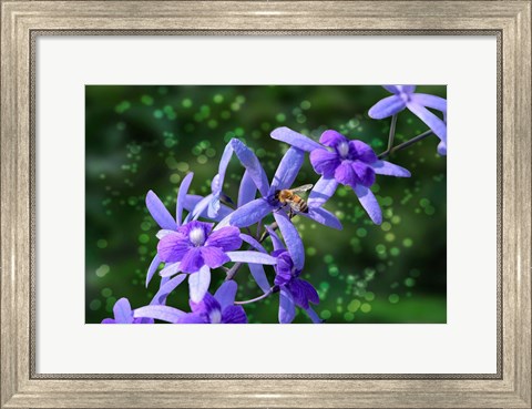 Framed Bee and Purple Flowers Print