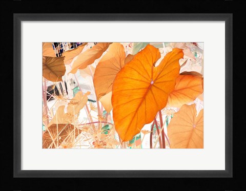 Framed Elephant Ears Print