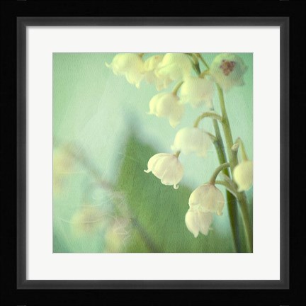 Framed Lily of the Valley Print